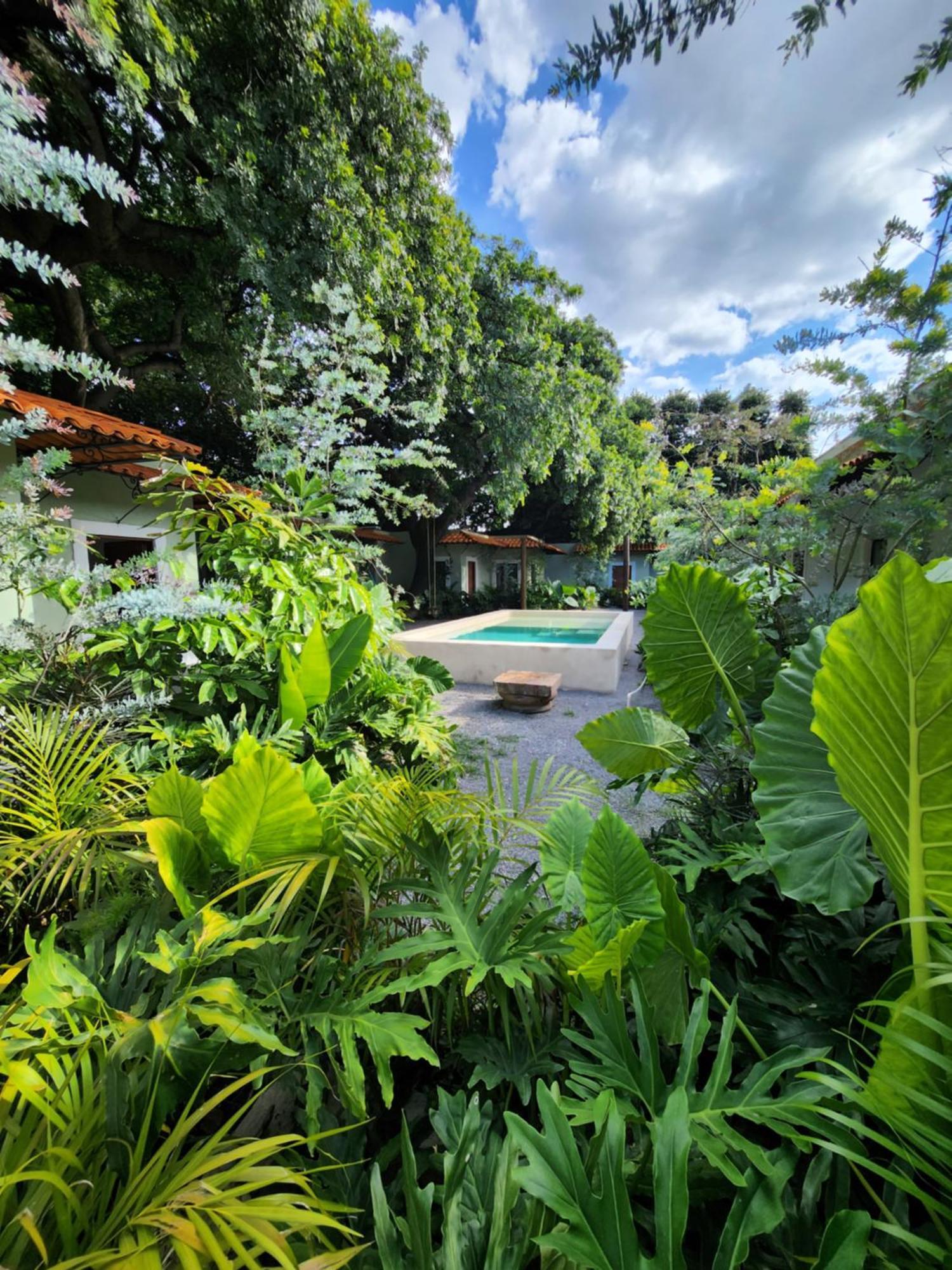 Hotel Boutique Villa Escondida, A Pasos De Lo Mejor En 特拉克帕克 外观 照片
