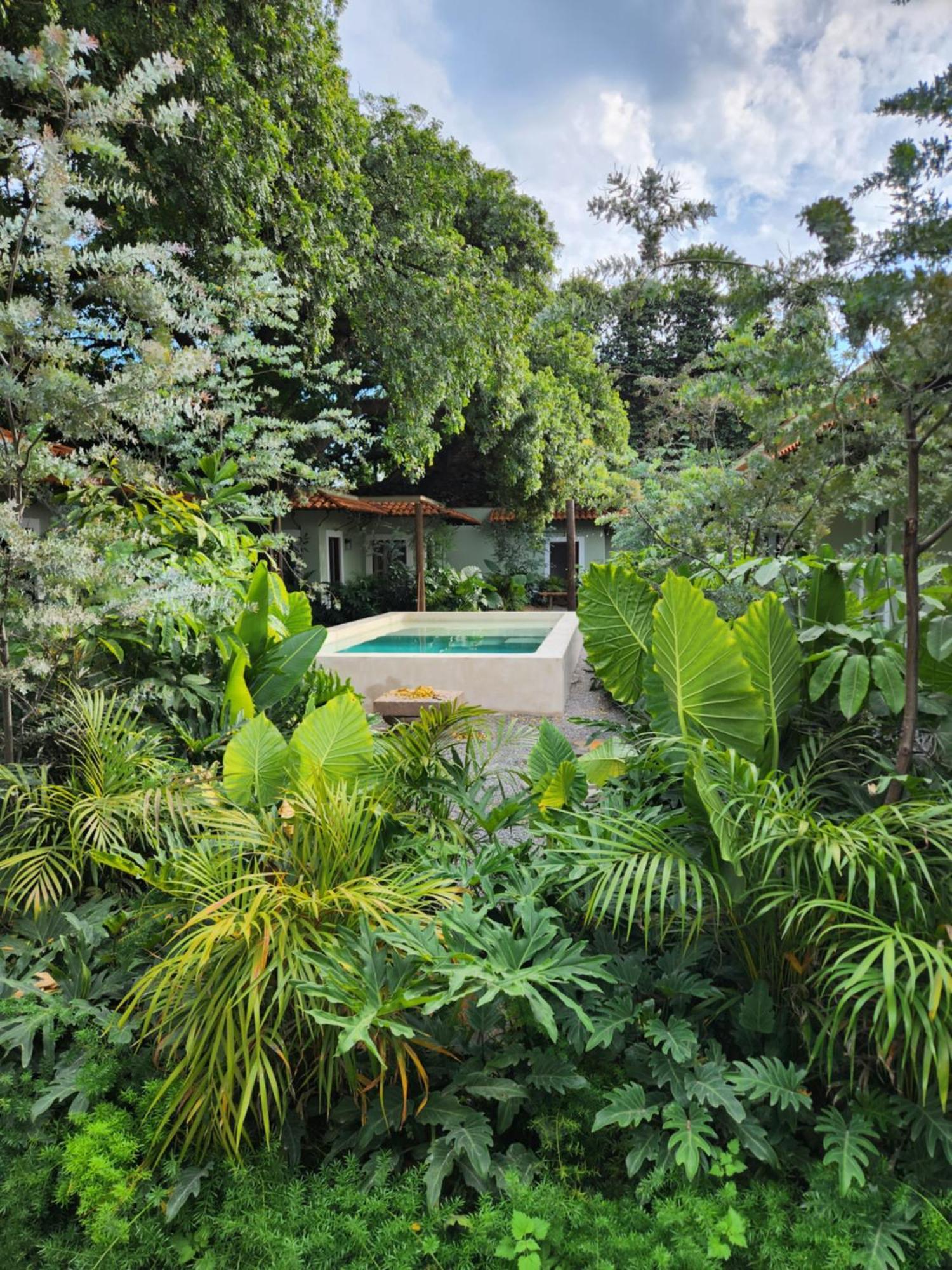 Hotel Boutique Villa Escondida, A Pasos De Lo Mejor En 特拉克帕克 外观 照片